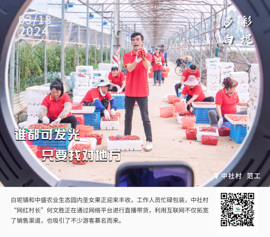 多彩白坭&bull;每日一图丨谁都可发光，只要找对地方