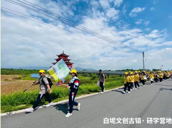 趣&middot;春游丨春暖花开，我们到白坭研学去~~~