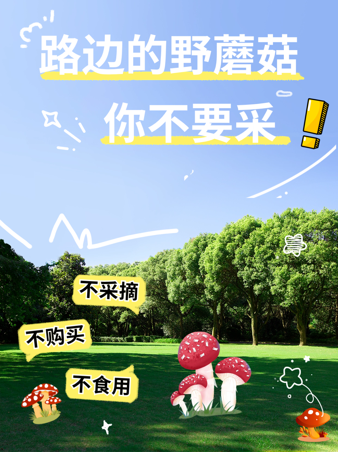 想吃&ldquo;野生蘑菇&rdquo;，你准备好&ldquo;躺平&rdquo;没？