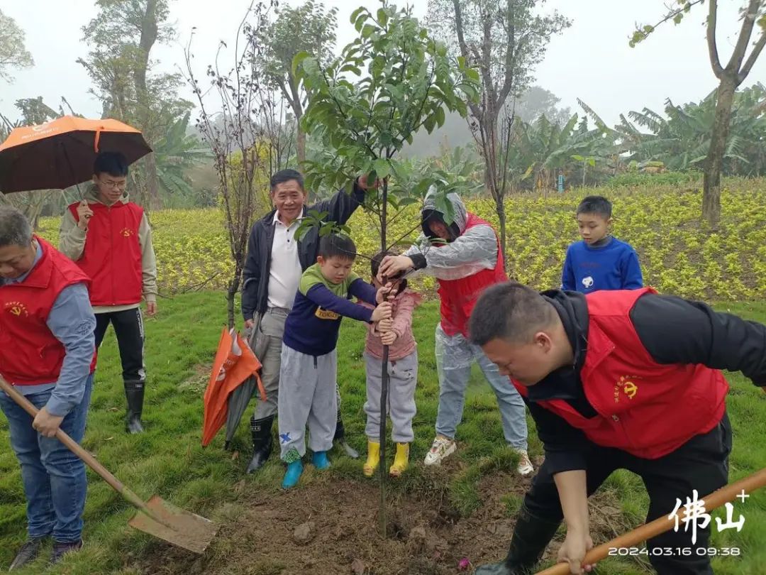认领一棵有&ldquo;身份证&rdquo;的树，他们小手拉大手共建美好家园！