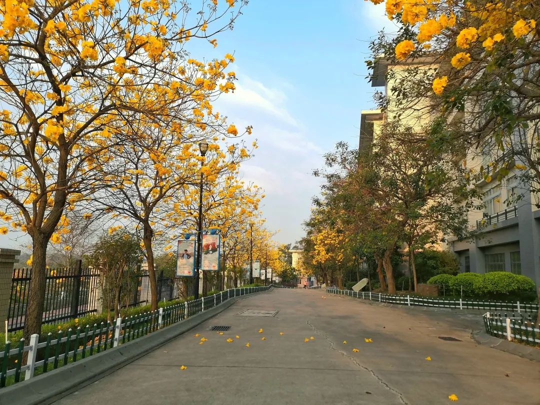 佛山这些校花醉人眼，你pick哪个？