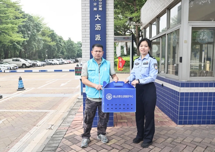 大沥派出所来了只&ldquo;大眼萌崽&rdquo; 一查发现来头不小