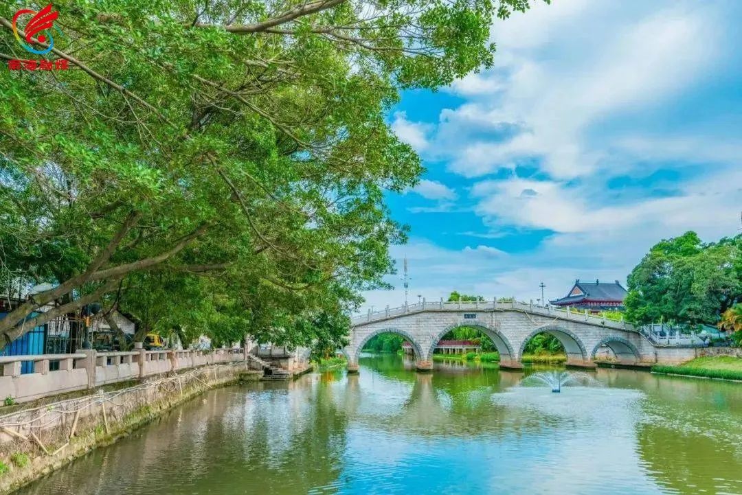 全员来治水！让大沥水环境更&ldquo;掂水&rdquo;！
