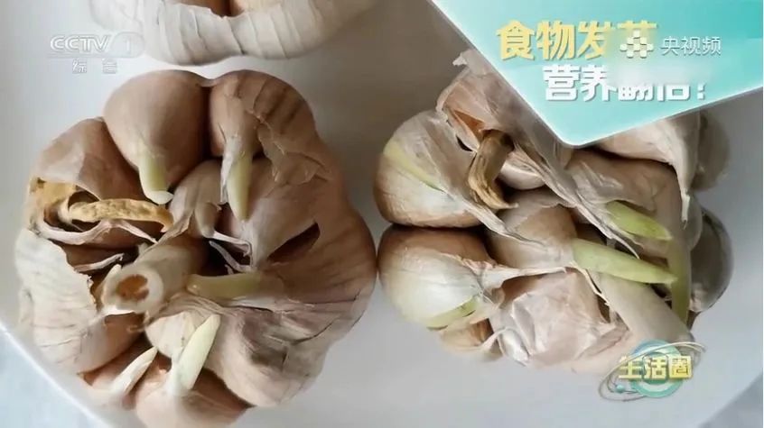 别扔！这4种食物发芽不仅没毒，还营养飙升&rarr;