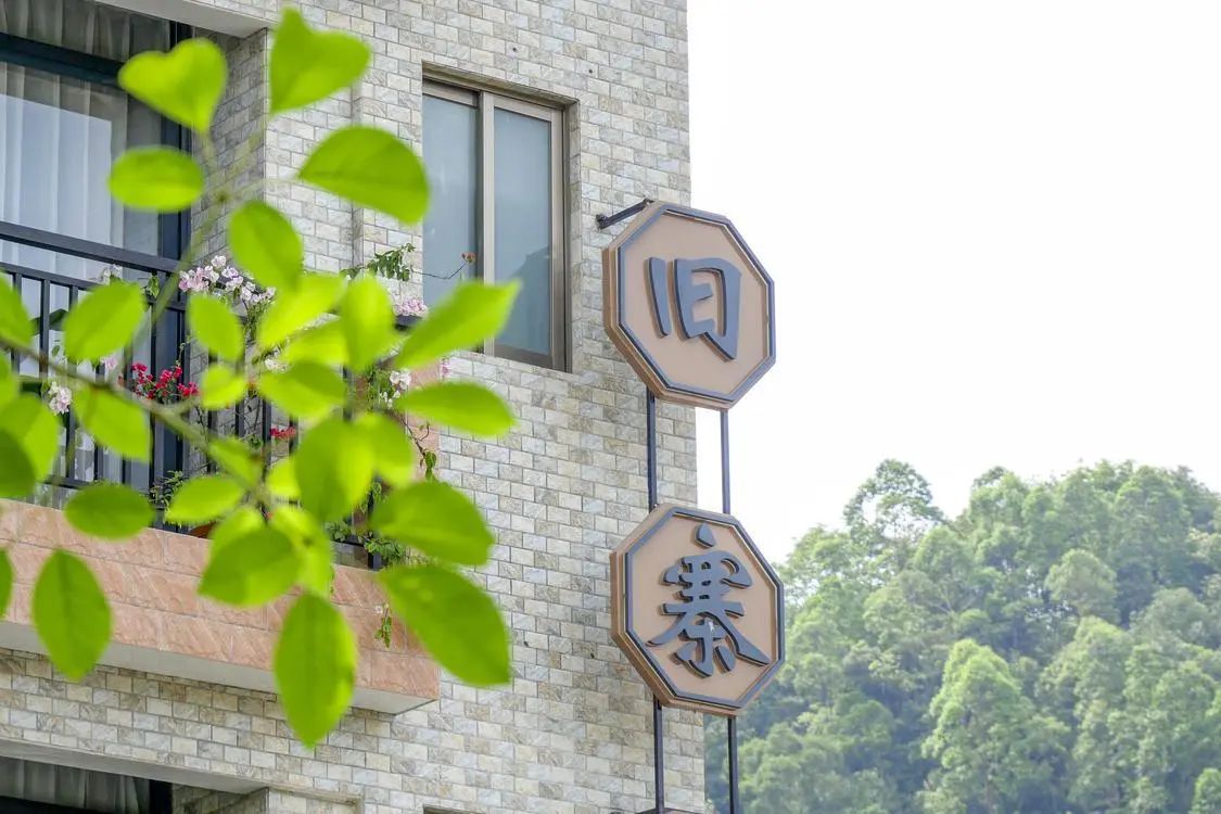 新晋网红！大良这个宝藏古村，好吃好逛好风光