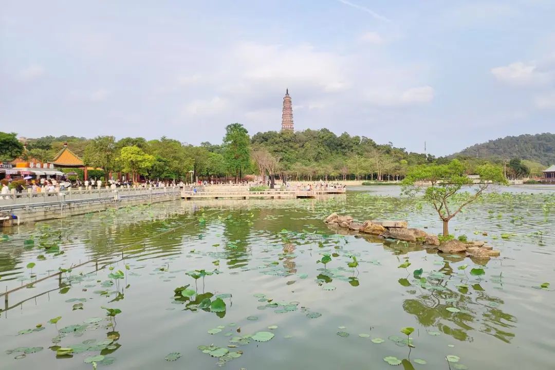 这个宝藏公园为何深得人心？街坊、游客这样说