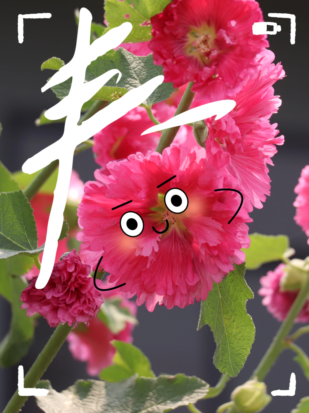 好治愈！当涂鸦遇上伦教，一切都变得有趣
