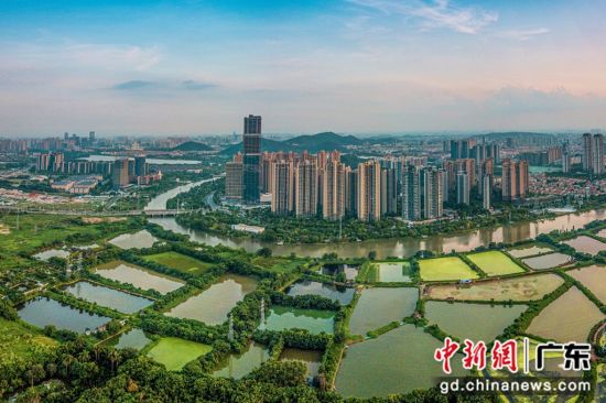 顺德：金融为现代农业发展注入&ldquo;活水&rdquo;