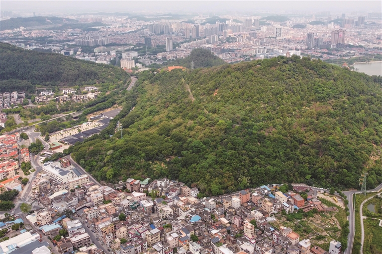 寻味旧寨 岭南风情