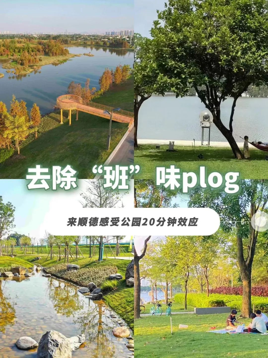 试过了！在顺德，&ldquo;公园20分钟效应&rdquo;是真的！