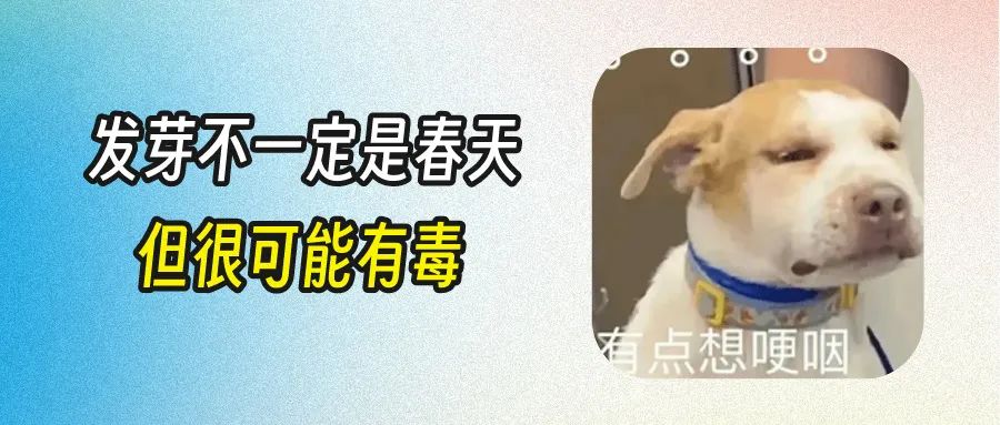 注意！这些发芽变色的食物存在毒素，不能乱吃！