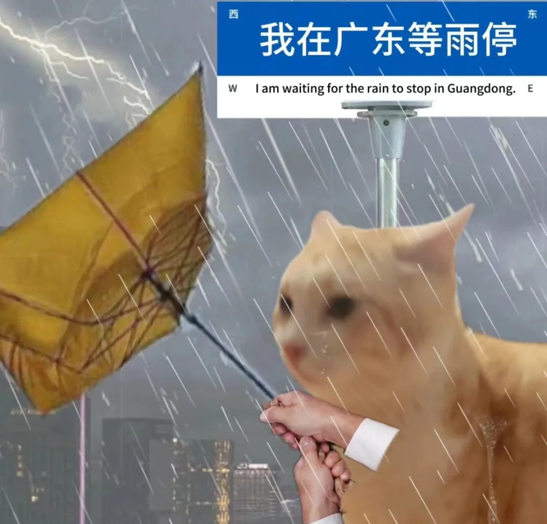  男子雨后蹚水住进ICU！下雨天一定要注意这些细节&rarr;