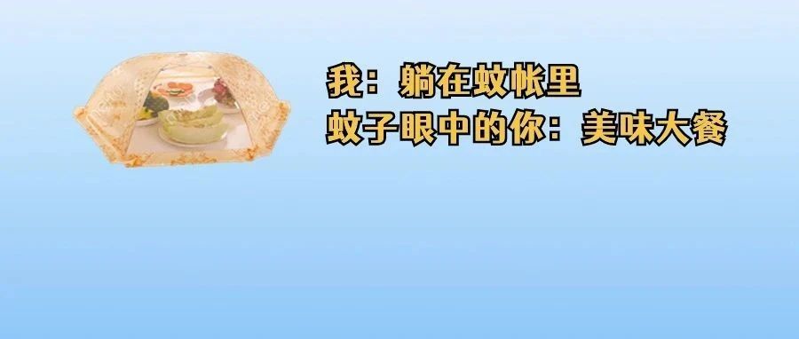 广东已出现病例！登革热高发期！农贸市场、餐厅应该这样做&rarr;