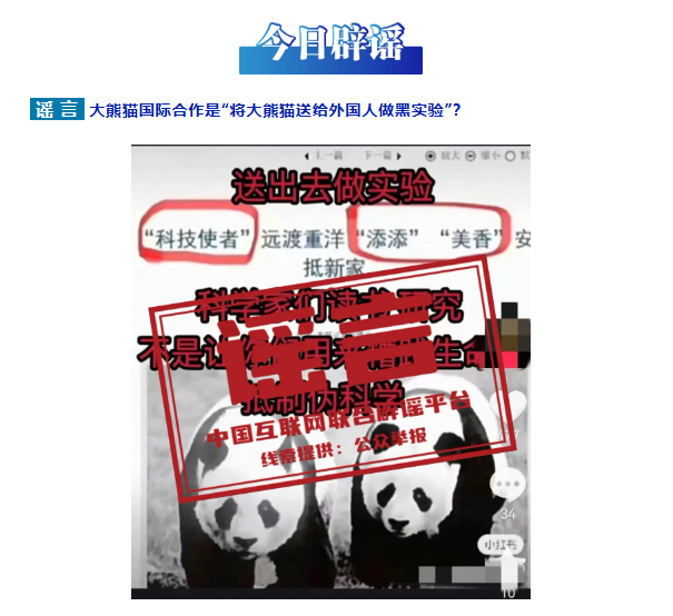 大熊猫国际合作是&ldquo;将大熊猫送给外国人做黑实验&rdquo;？