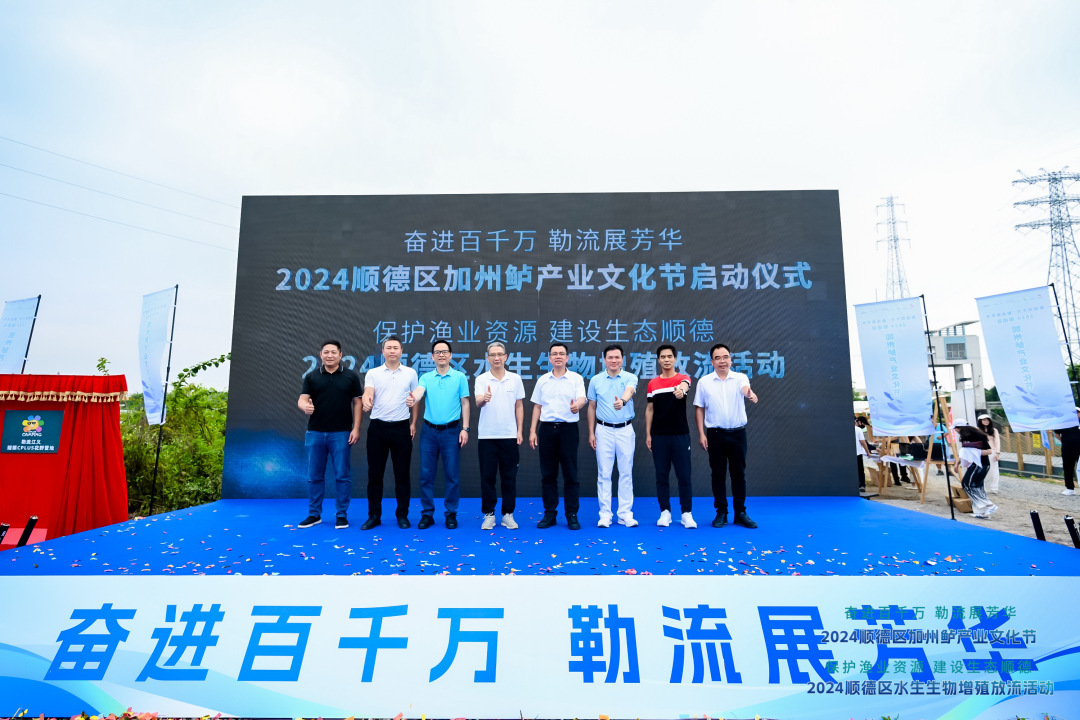 产量超3万吨，产值已达5亿元！顺德勒流要打造加州鲈&ldquo;大IP&rdquo;