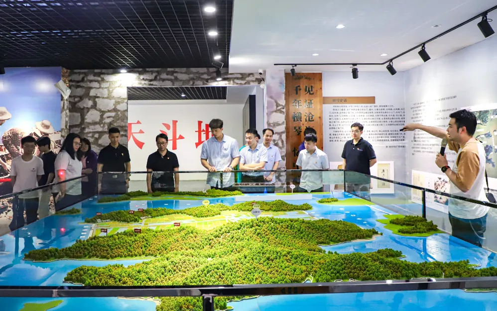 向青春致敬，向未来出发！区市场监管局团支部&ldquo;三聚焦 三着力&rdquo;服务工作大局