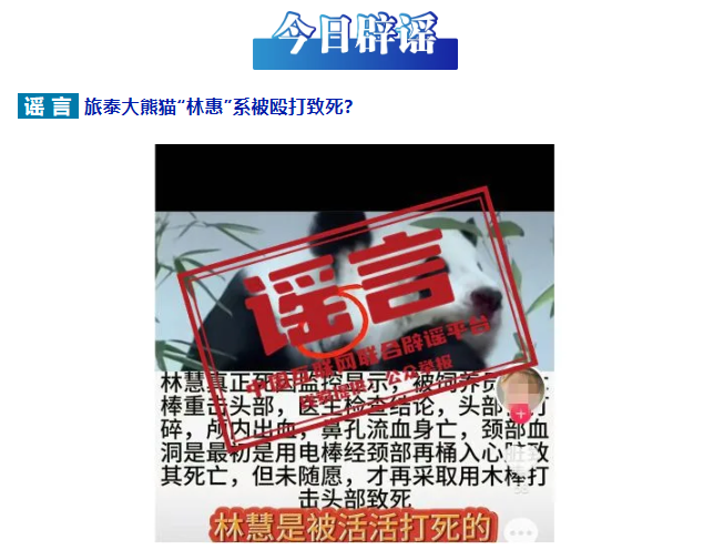 旅泰大熊猫&ldquo;林惠&rdquo;系被殴打致死？