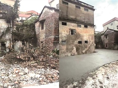 顺德区政协立足群众所愿与社会所需 办好民生微实事托起群众&ldquo;大幸福&rdquo;