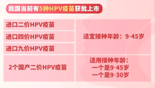 HPV疫苗价格大跳水？打之前，这些重点要知道&rarr;