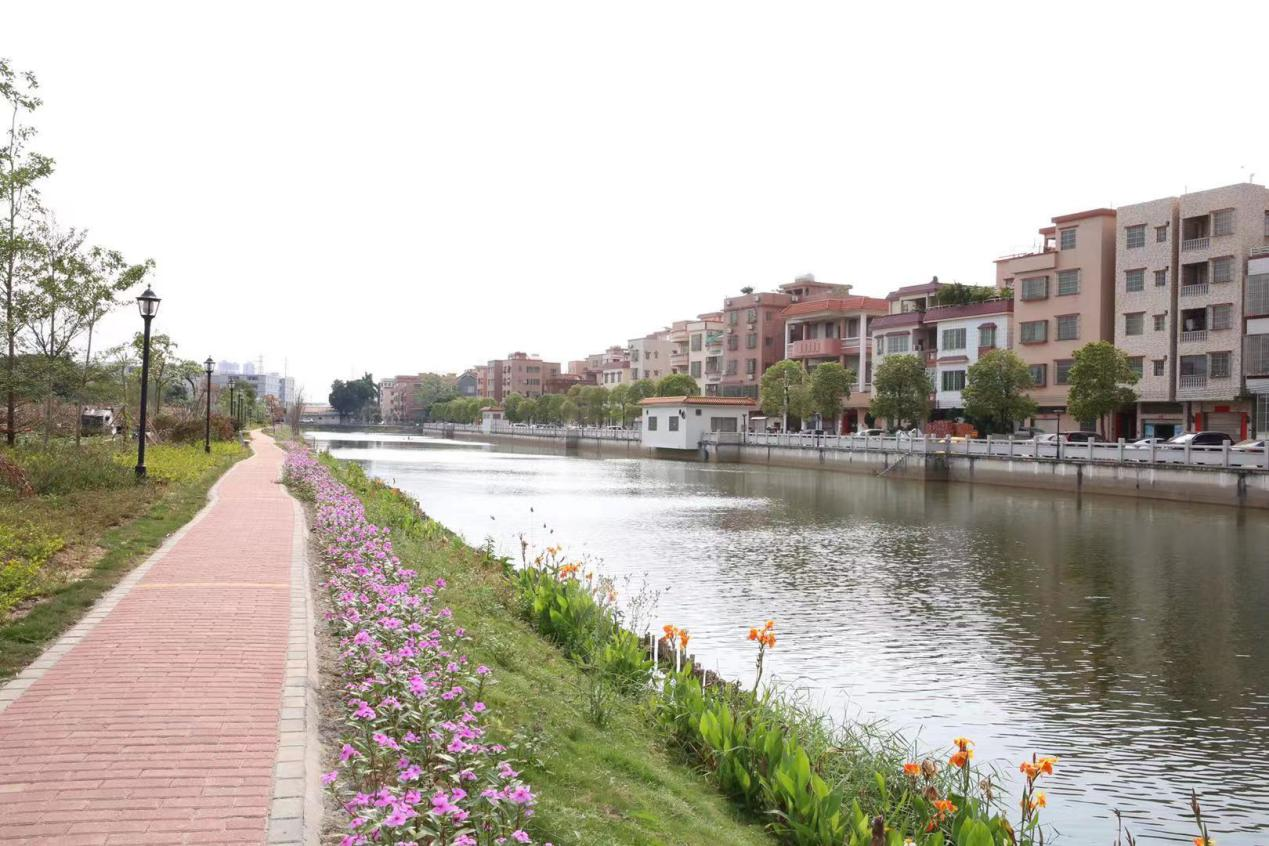 &ldquo;1+6+N&rdquo;专题报道 | 1分=1元，南海该社区有&ldquo;善治新良方&rdquo;！