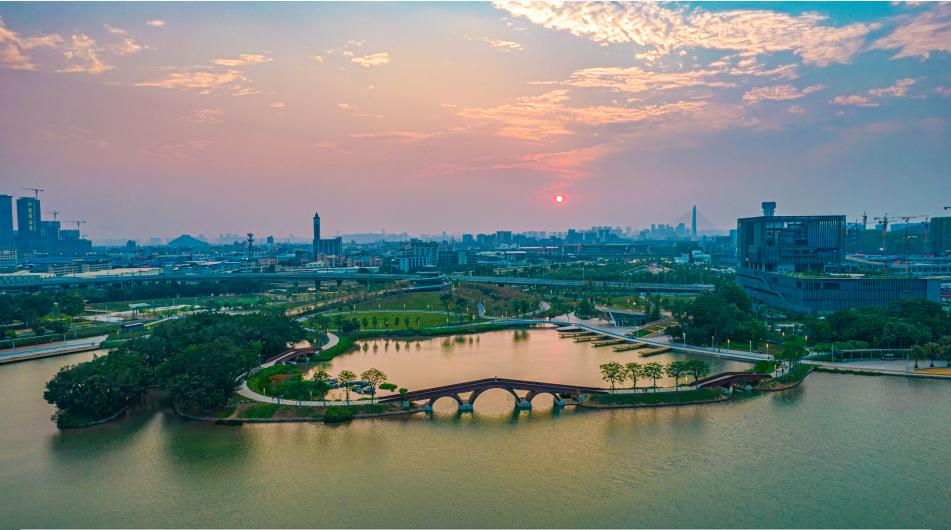 三龙湾南海片区挂牌成立五周年！大事回顾&rarr;