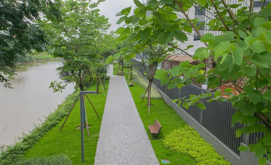 政企联动打造&ldquo;汇贤美岸&rdquo;，顺德伦教这个公园好美！