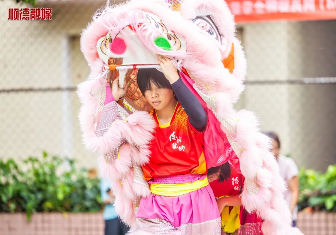 热爱就是最大的动力！顺德醒狮女孩登上央视