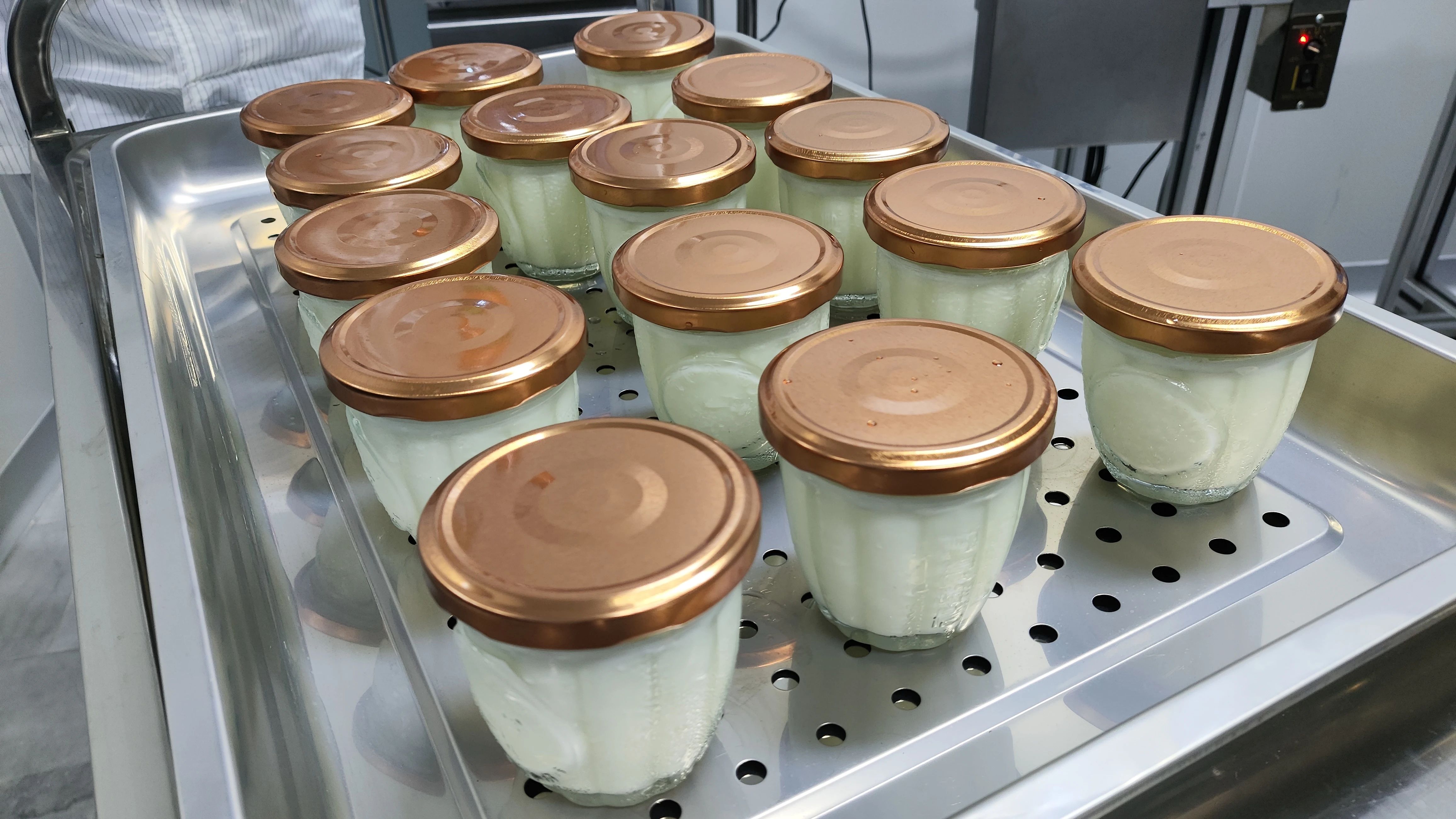 双皮奶&ldquo;领证&rdquo;了！&ldquo;顺德味&rdquo;正发力&ldquo;走出去&rdquo;