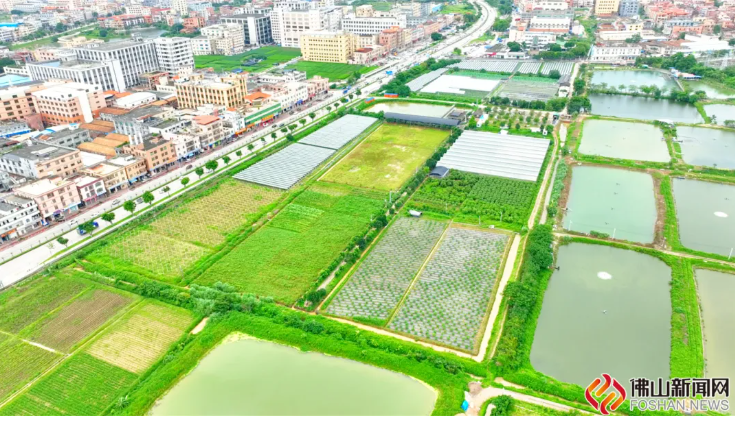 摘果、钓虾、赏荷花、品美食！来丹灶，畅享农家乐！