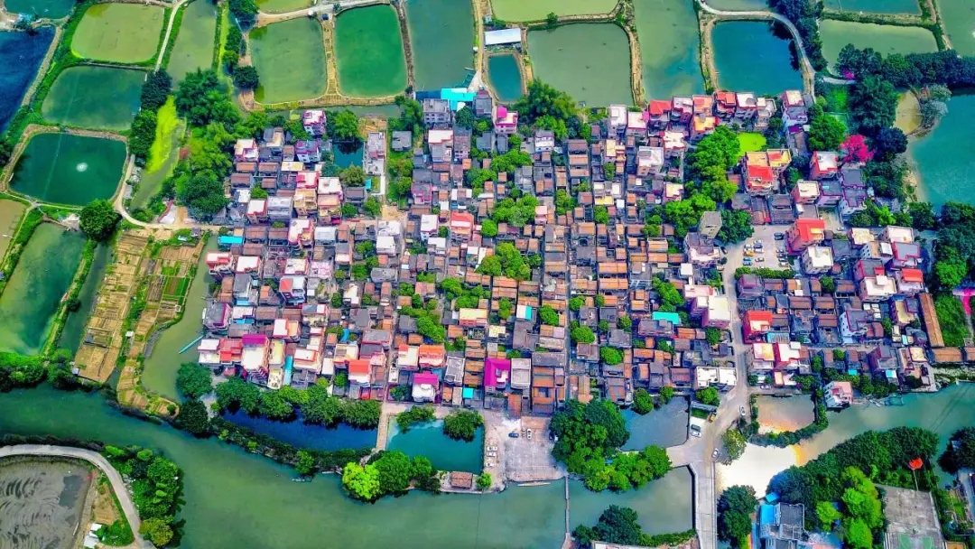 龙舟竞渡展风采，碧浪清波显成效！佛山治水实效铺就&ldquo;亲水&rdquo;新图景