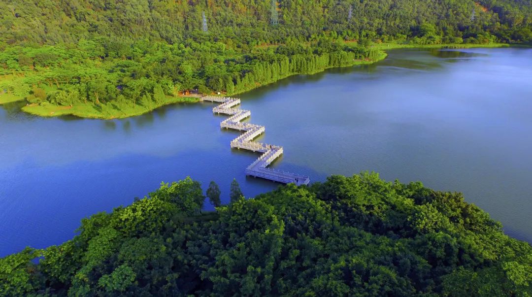 佛山夏天出游必备！宝藏打卡地送上&rarr;