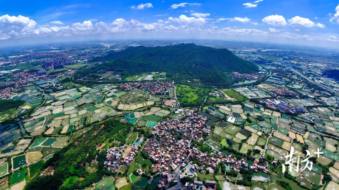 平稳度汛！看佛山这一传承近千年的水利工程如何护安澜&rarr;