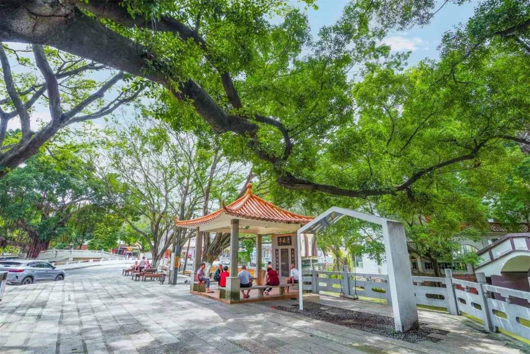 一封建议书推动严管村集体&ldquo;三资&rdquo;