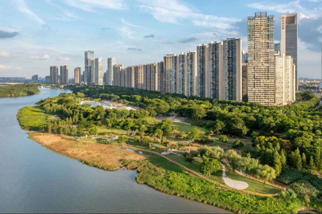 黑臭水体&ldquo;摘帽&rdquo;、滨水美岸上新&hellip;&hellip;佛山这里&ldquo;水活力&rdquo;满分！