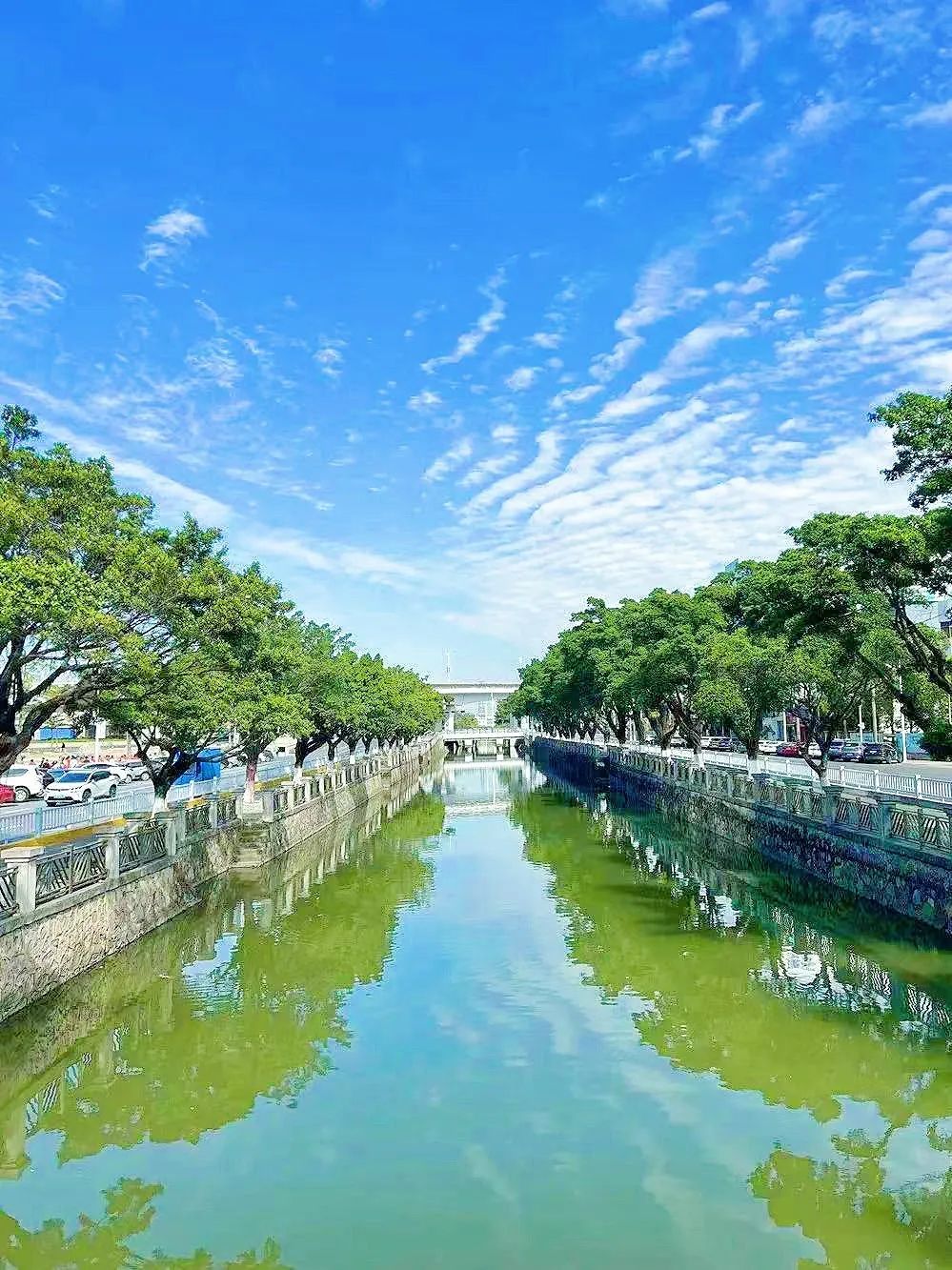 今天，又是被「顺德绿」&ldquo;硬控&rdquo;的一天🤳