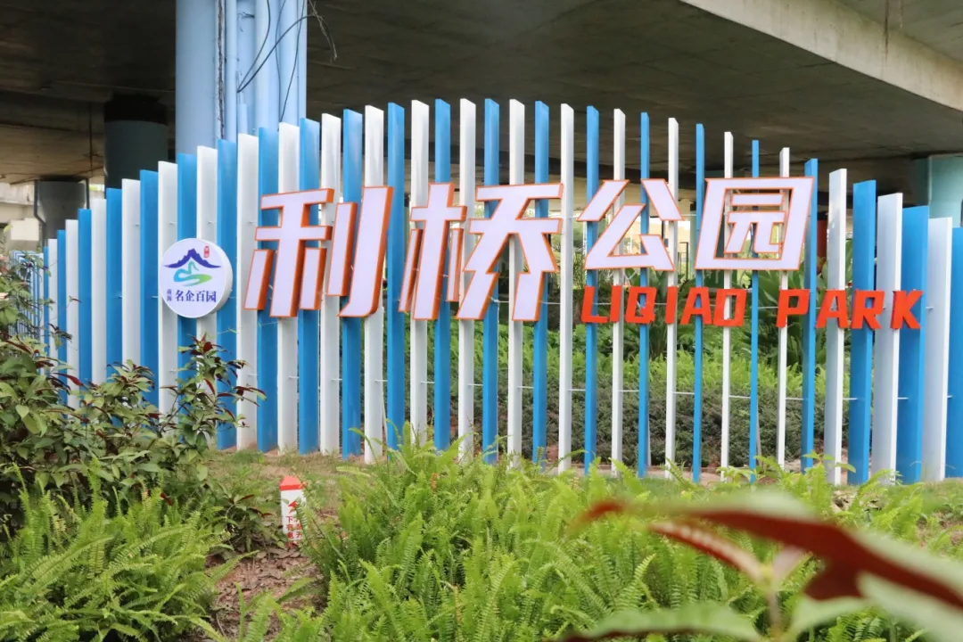 近9000㎡的公园开放！暑假遛娃来这里！