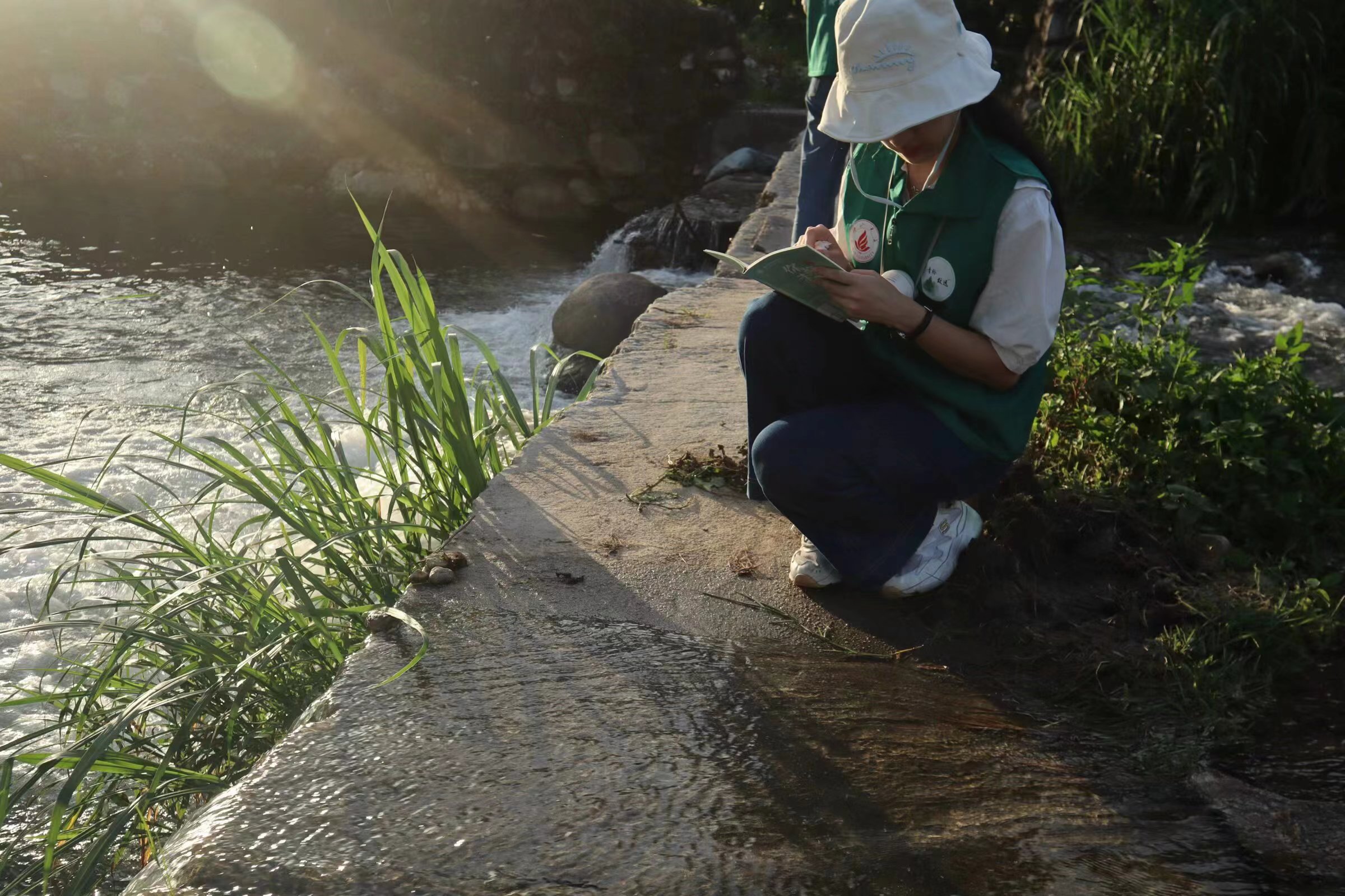 青衿致远队绿美行：守护生态，共绘绿景