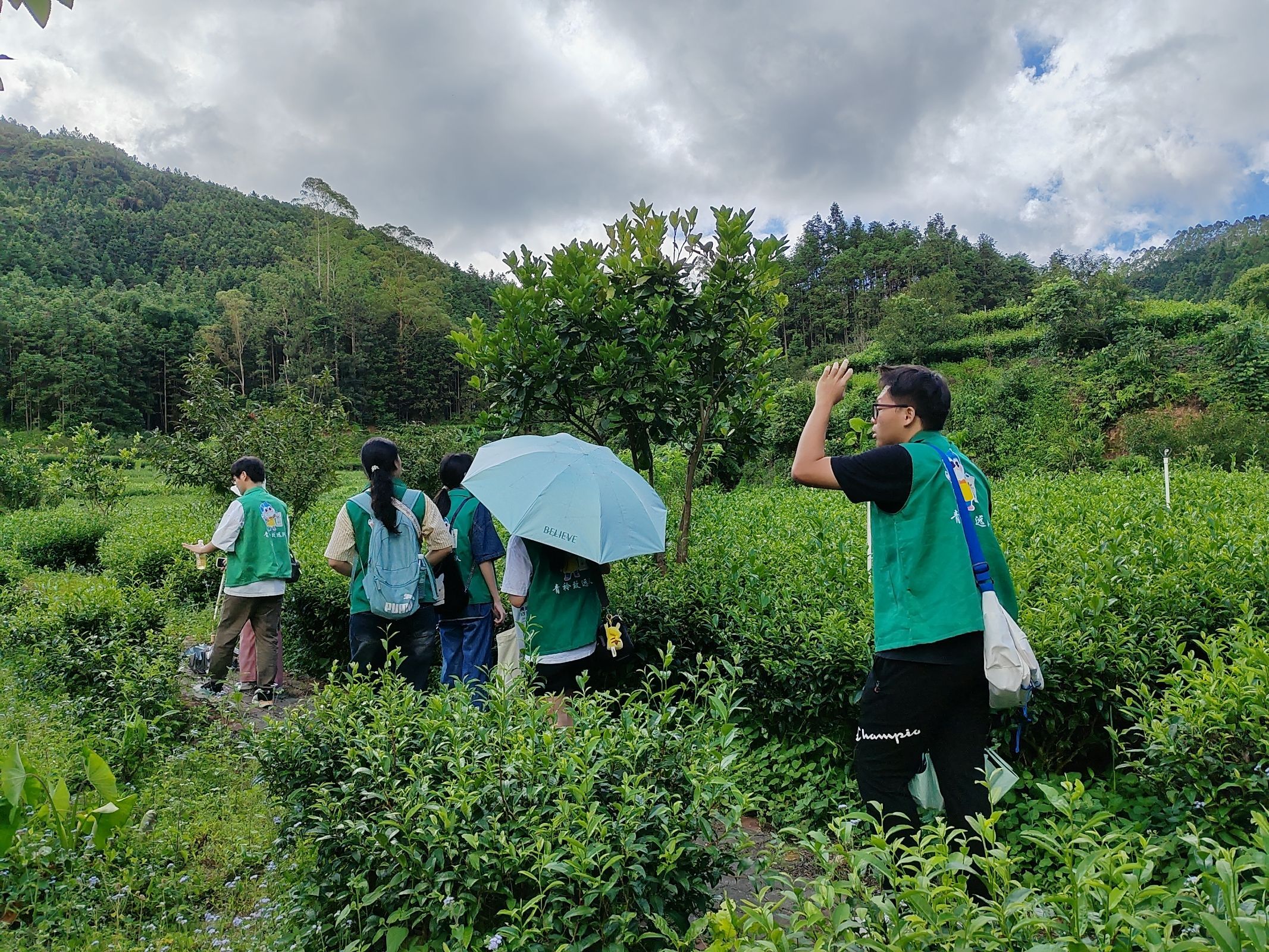 青衿致远&ldquo;百千万工程&rdquo;突击队：探访茶园，映绿广东之美