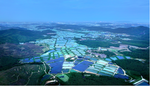 践行绿色可持续发展理念：佛山，国家级试点+1！