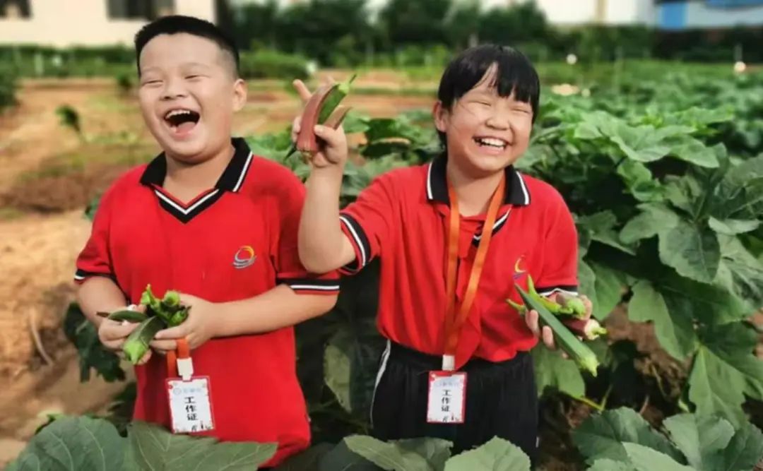 践行绿色生态文明 共建绿美校园：以&ldquo;绿&rdquo;育人，以&ldquo;美&rdquo;润心！