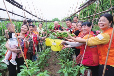 南海已成立超60个联合党委，党建联建促发展、优治理成效不断凸显 扩大基层&ldquo;朋友圈&rdquo;&ldquo;联&rdquo;出红色新引擎