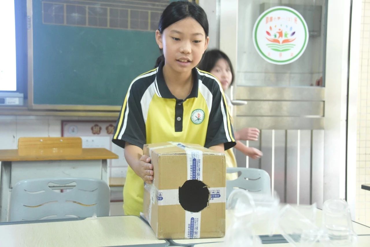 七彩假期 | 携手童程队：科学探究 逐理前行