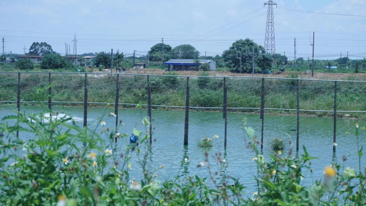 百千万工程丨佛山大学&ldquo;渔你乡约&rdquo;实践团：青春践行乡村振兴，共绘莘田发展新篇章