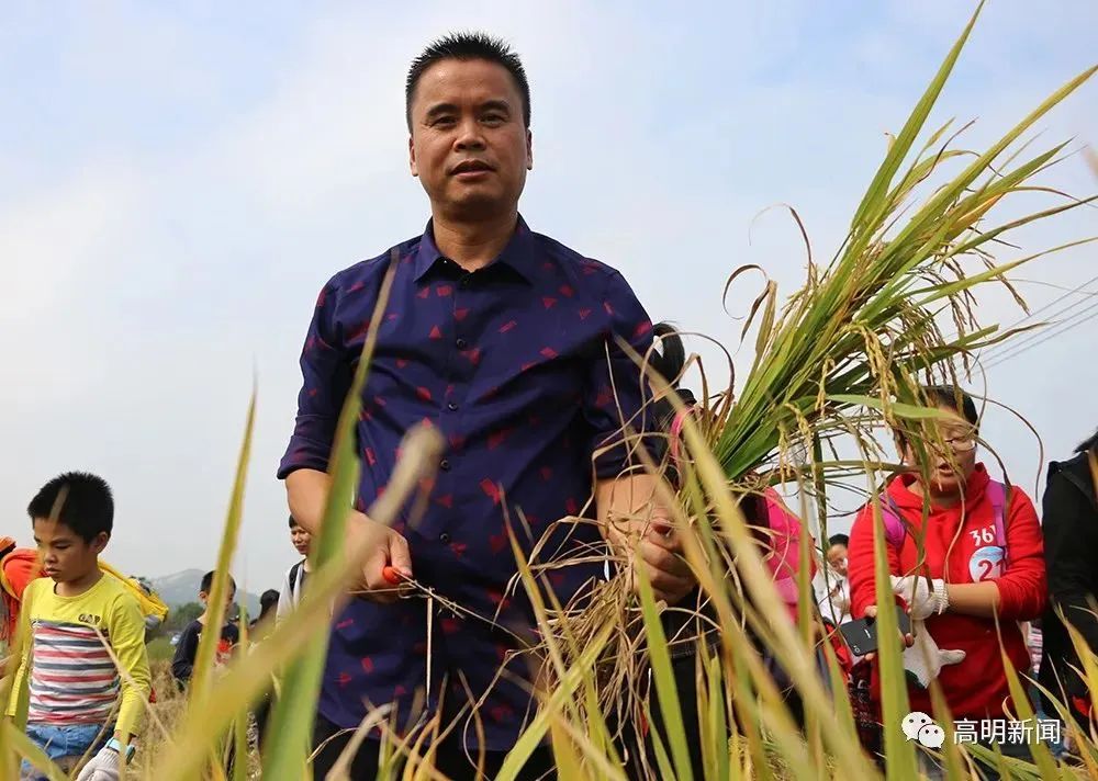 从商海到田野，他走出了一条乡村振兴之路