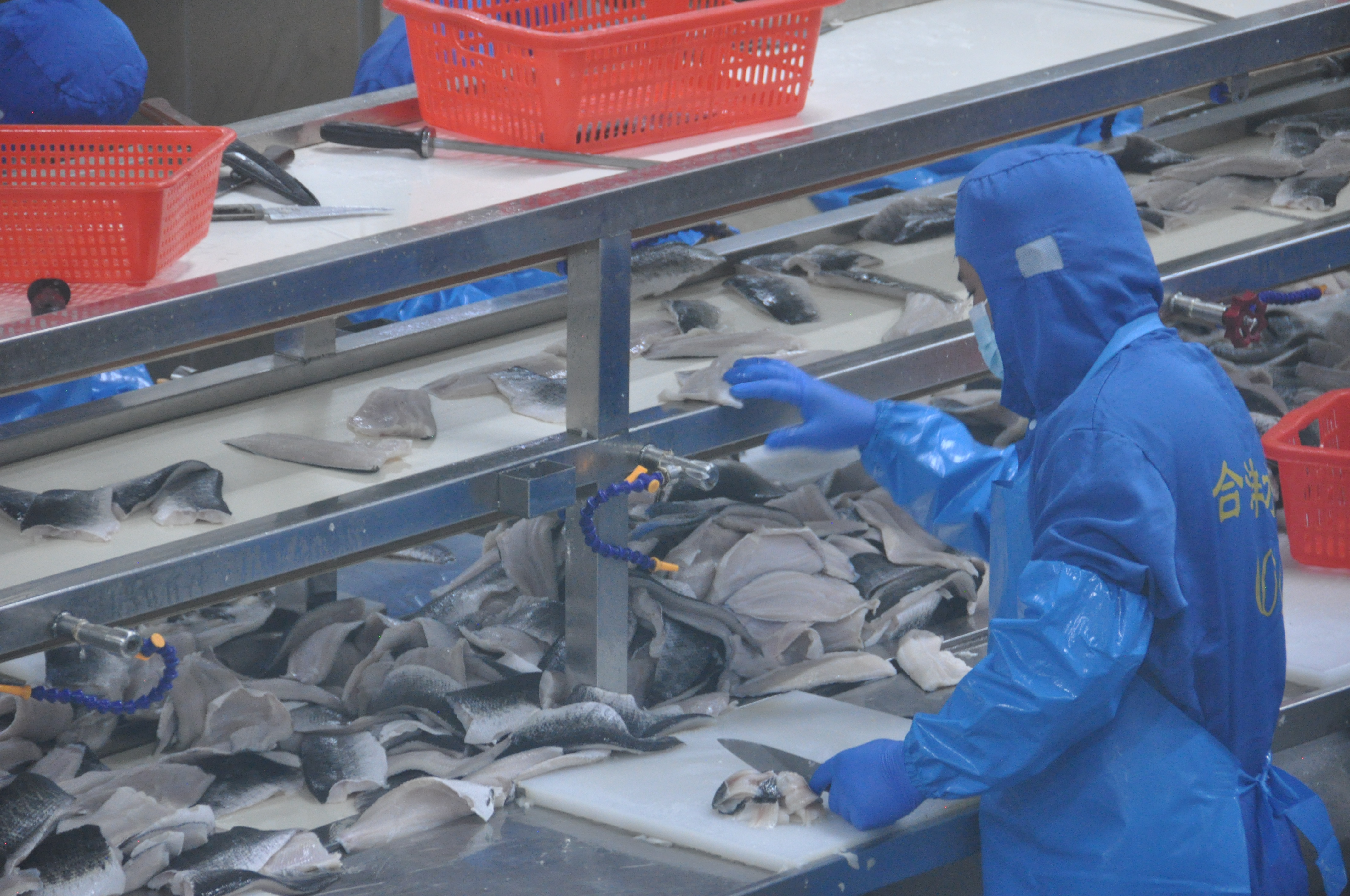 百千万工程丨佛山大学&ldquo;渔你乡约&rdquo;实践团：揭开&ldquo;预制&rdquo;面纱，还原&ldquo;真菜&rdquo;实料