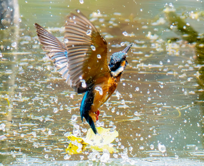 来，清凉一&ldquo;夏&rdquo;！