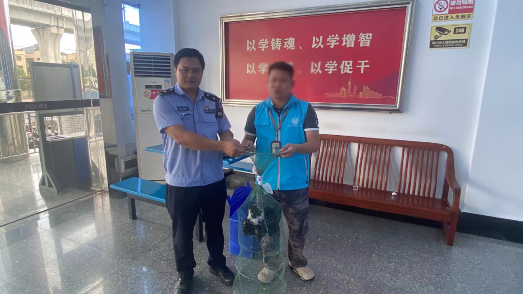 南海男子意外发现疑似&ldquo;濒危动物&rdquo;，它的真实身份是&hellip;&hellip;