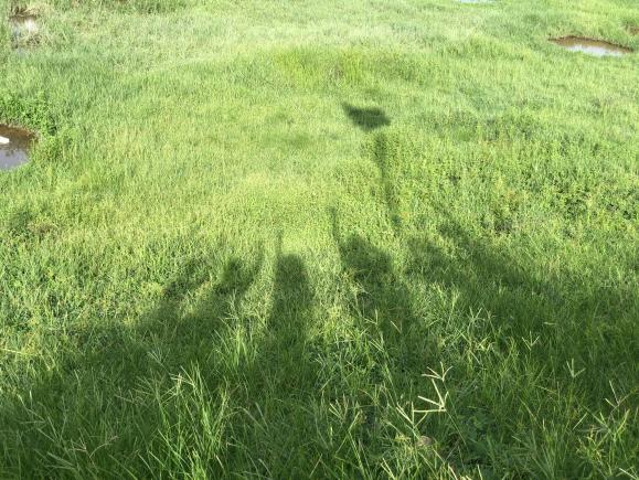 聚力百千万|&ldquo;艺&rdquo;红棉&middot;&ldquo;绘&rdquo;乡愁实践团总结篇二&mdash;&mdash;以笔绘乡愁，展红棉艺术