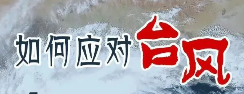 佛山防汛物资充足严阵以待，全力防范台风&ldquo;摩羯&rdquo;！l 防汛抗洪