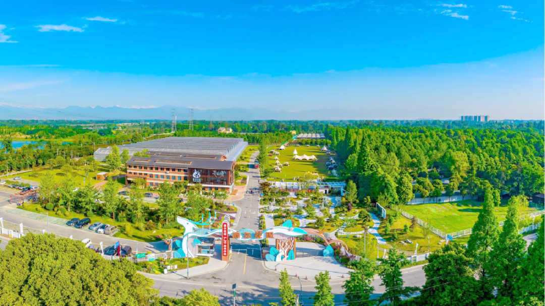 湾区首店！春季开业！5万㎡成都网红项目落户大沥&rarr;